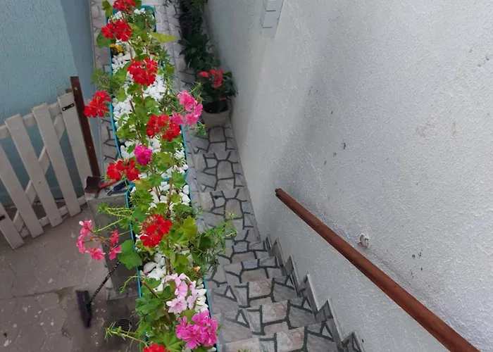 Casa Em Cabo Frio
